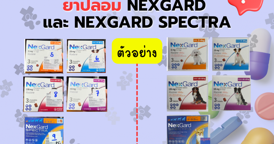 แจ้งเตือนเฝ้าระวังผลิตภัณฑ์ยาปลอม NEXGARD และ NEXGARD SPECTRA